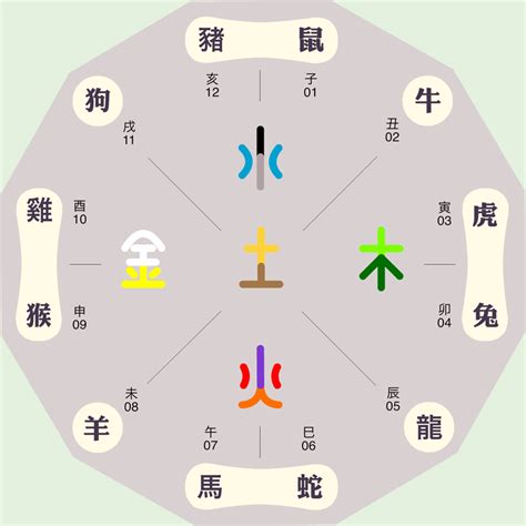 紫 五行|紫字的五行属性